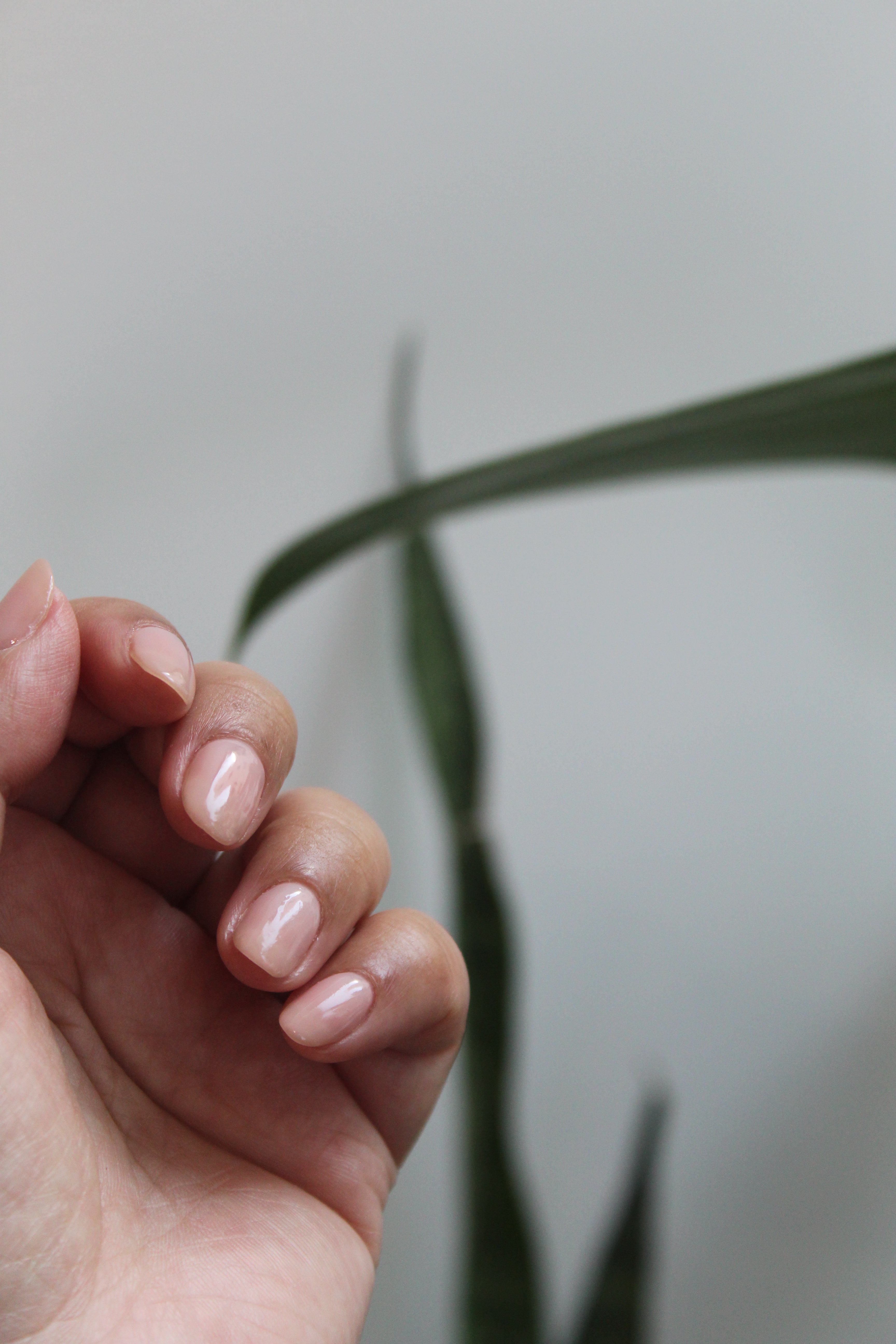 These Benefits of Cuticle Oil Will Have You Running (Not Walking) To Go  Purchase Your Own